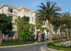 Cho thuê dài hạn biệt thự Ba Son căn góc sông Quận 1