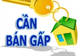 Bán đất bờ sông Đồng Nai đường 8 Long Phước Quận 9