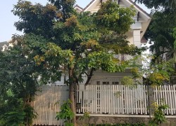 Biệt thự khu C An Phú An Khánh bán giá tốt