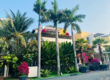 Cho thuê biệt thự Riviera An Phú nhà đẹp