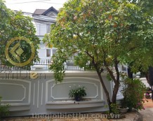 Biệt thự đường nội bộ Quốc Hương Thảo Điền bán