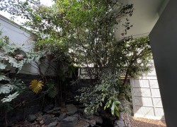 Bán biệt thự liền kề đường phường An Phú sau The Vista giá tốt