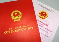 Bán chín lô đất thổ cư góc đường Võ Trường Toản và đường 11 Thảo Điền
