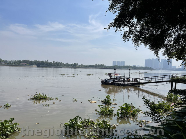 Sông Thảo Điền