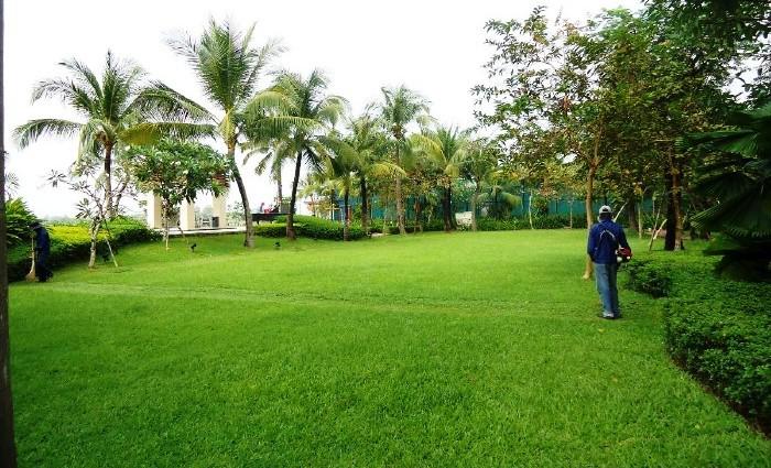 Long description image 1