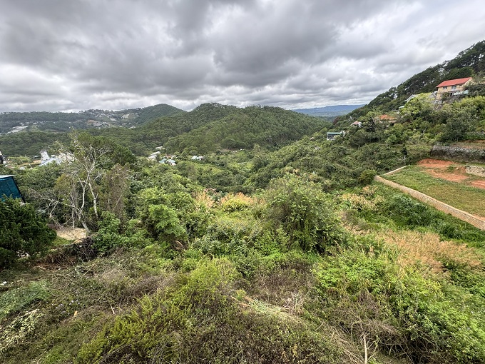 biệt thự và nhà hàng cafe đà lạt biệt thự và nhà hàng cafe đà lạt