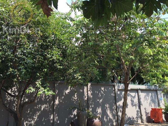 Long description image 1