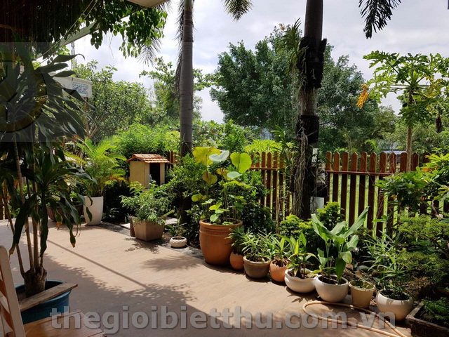 Long description image 1