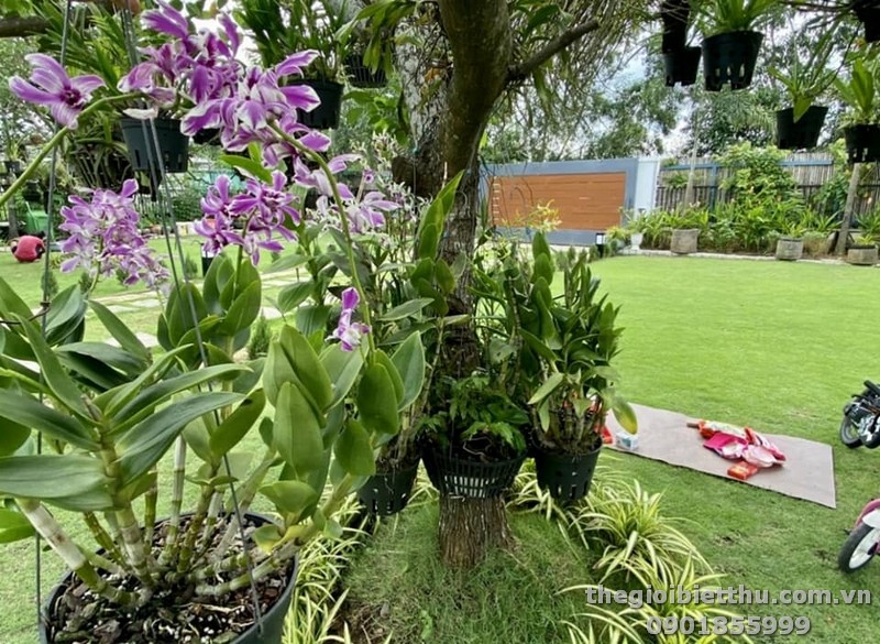 biệt thự long phước thành phố thủ đức biệt thự long phước thành phố thủ đức