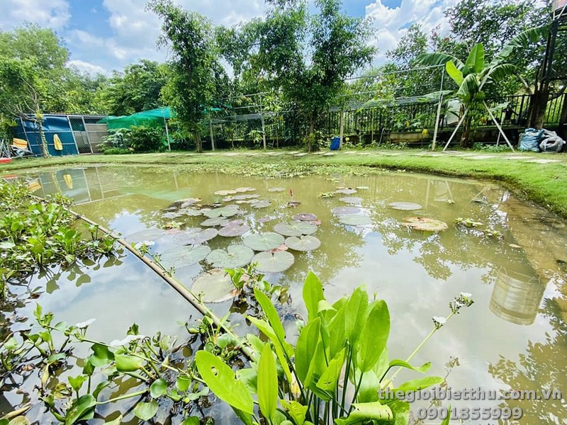 biệt thự long phước Quận 9 biệt thự long phước Quận 9