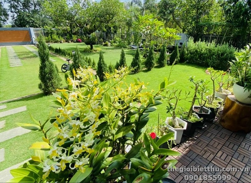 biệt thự long phước thành phố thủ đức biệt thự long phước thành phố thủ đức