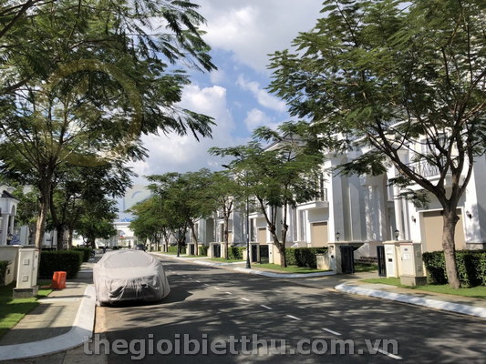 Long description image 1