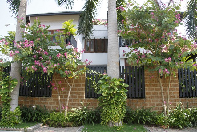 Long description image 1