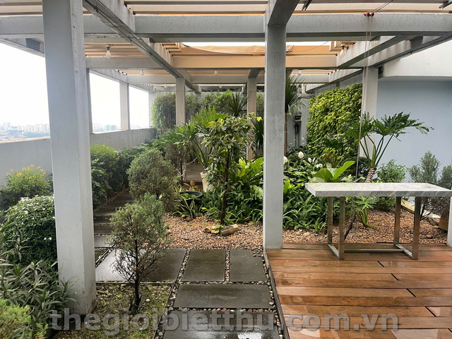 penthosue The vista T4-2303