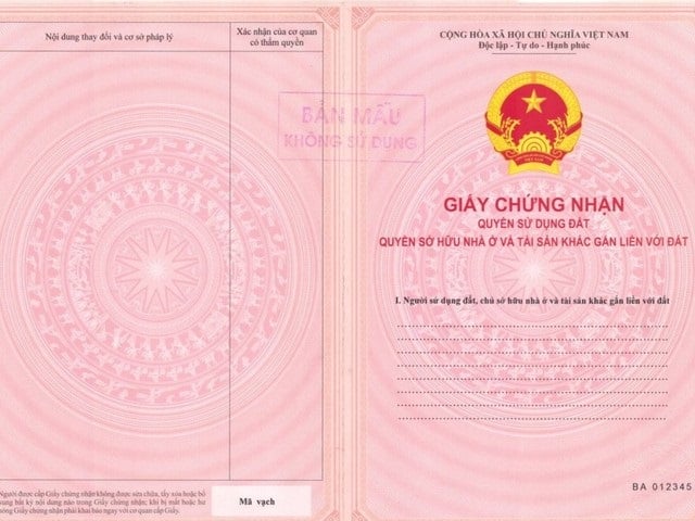 Long description image 1