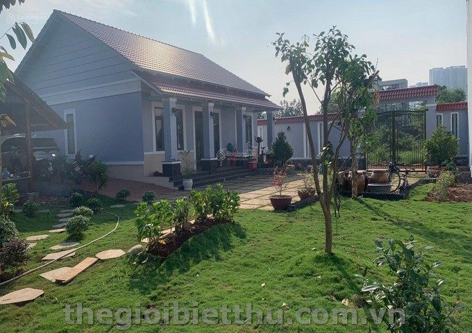 Long description image 1